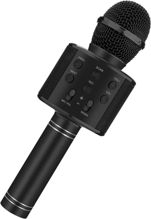 Fun, Handheld Karaoke Microphone