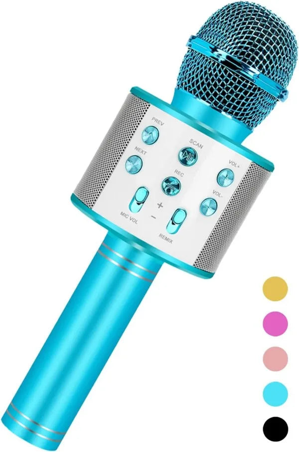 Fun, Handheld Karaoke Microphone