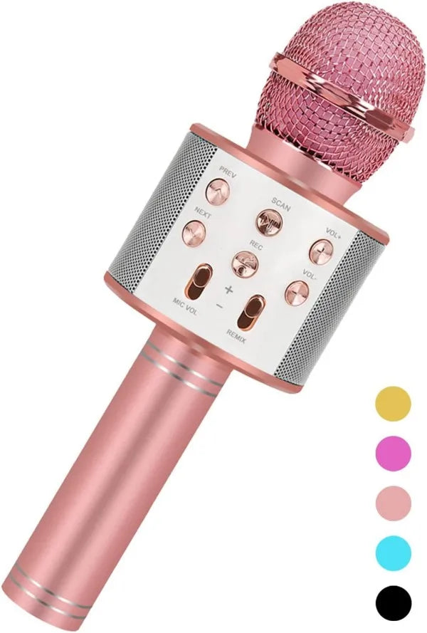 Fun, Handheld Karaoke Microphone