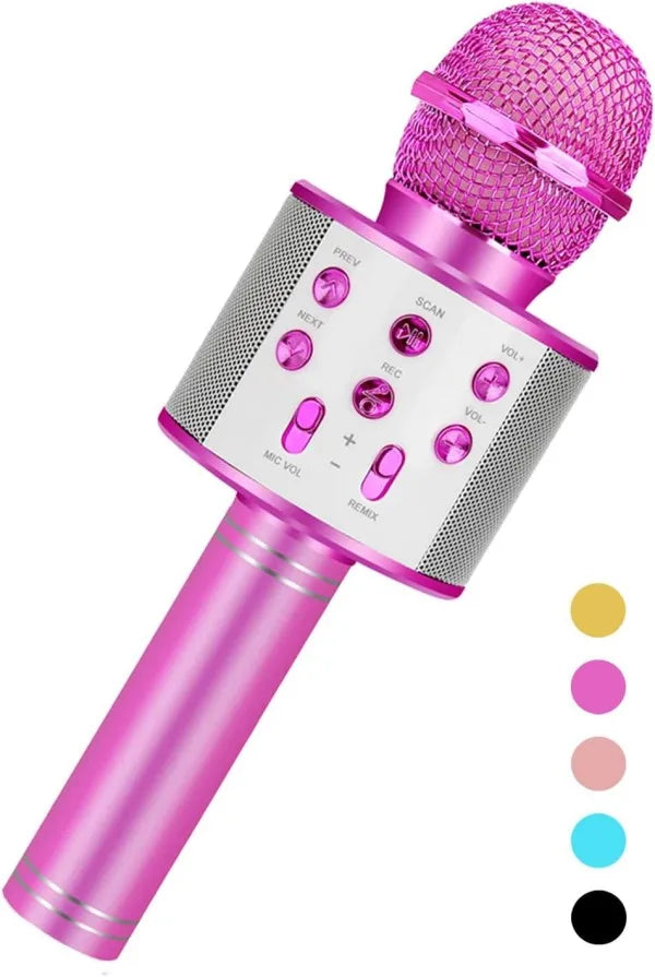 Fun, Handheld Karaoke Microphone