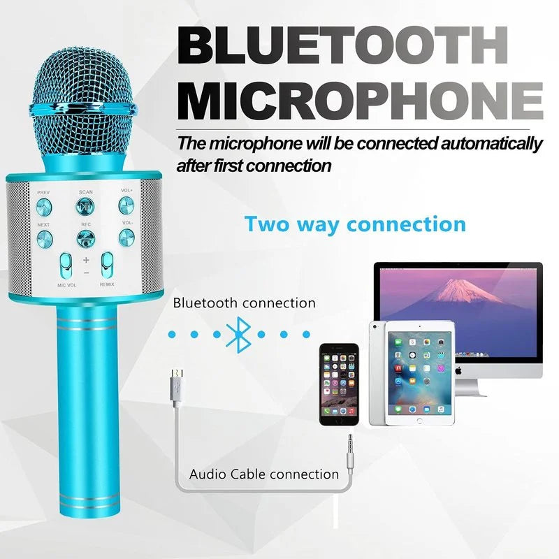 Fun, Handheld Karaoke Microphone